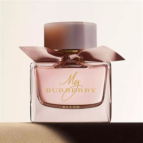 burberry new york cologne|burberry cologne for women.